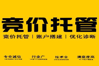 SEM推广案例：打造高效广告投放方案